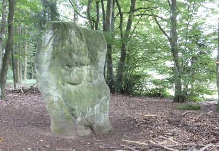 Der Druidenstein bei Bollendorf, © Elke Wagner Der Druidenstein bei Bollendorf, © Elke Wagner
