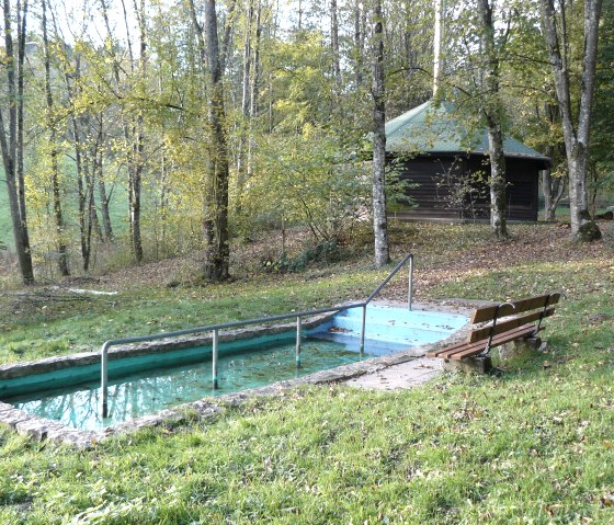 Barbecue hut in the forest with a pedal pool in the foreground. Autumnal trees surround the scene, a bench stands at the edge of the pool., © Felsenland Südeifel Tourismus GmbH, Christian Calonec-Rauchfuss Barbecue hut in the forest with a pedal pool in the foreground. Autumnal trees surround the scene, a bench stands at the edge of the pool., © Felsenland Südeifel Tourismus GmbH, Christian Calonec-Rauchfuss