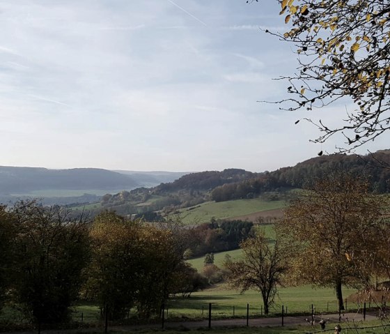 31991-resize-1170x1170x70 31991-resize-1170x1170x70