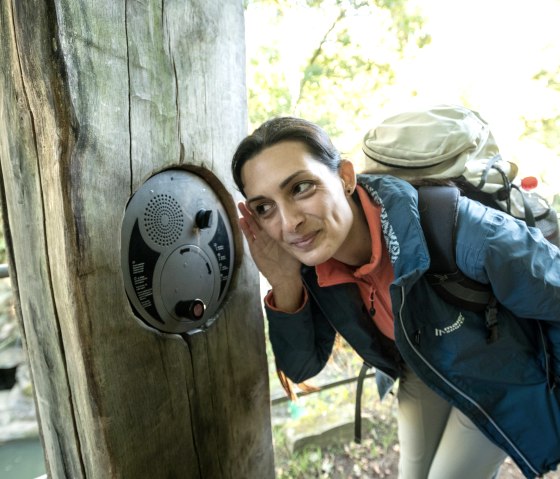 Spannende Geschichten vom Felsenweiher Ernzen, © Eifel Tourismus GmbH, Dominik Ketz Spannende Geschichten vom Felsenweiher Ernzen, © Eifel Tourismus GmbH, Dominik Ketz