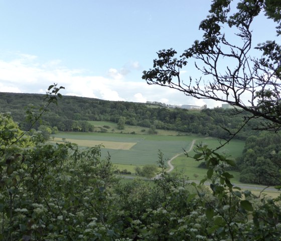 View from a wooded hill of green fields and forests under a blue sky. A narrow path winds its way through the landscape., © Elke Wagner, Felsenland Südeifel Tourismus GmbH View from a wooded hill of green fields and forests under a blue sky. A narrow path winds its way through the landscape., © Elke Wagner, Felsenland Südeifel Tourismus GmbH