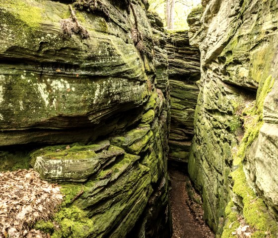 Narrow, moss-covered rocky gorge with foliage at the bottom. The walls are greenish and overgrown with plants., © Eifel Tourismus GmbH, Dominik Ketz Narrow, moss-covered rocky gorge with foliage at the bottom. The walls are greenish and overgrown with plants., © Eifel Tourismus GmbH, Dominik Ketz