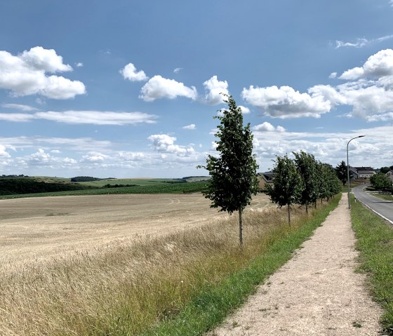 image00047, © Ansgar Dondelinger, Naturpark Südeifel image00047, © Ansgar Dondelinger, Naturpark Südeifel