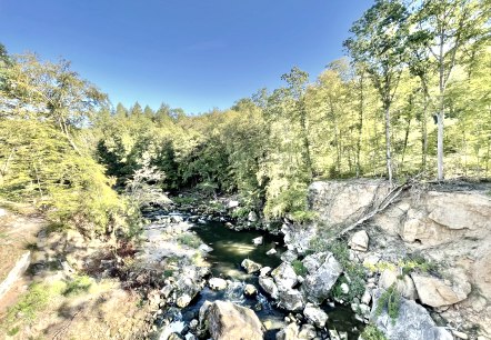 Blick von der Hängebrücke auf die Stromschnellen der Prüm, © Naturpark Südeifel, Ansgar Dondelinger Blick von der Hängebrücke auf die Stromschnellen der Prüm, © Naturpark Südeifel, Ansgar Dondelinger