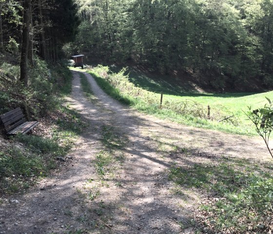 r6-emmelbaum r6-emmelbaum