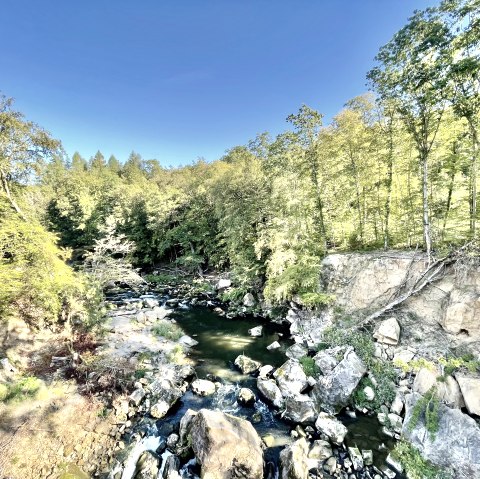Blick von der Hängebrücke auf die Stromschnellen der Prüm, © Naturpark Südeifel, Ansgar Dondelinger Blick von der Hängebrücke auf die Stromschnellen der Prüm, © Naturpark Südeifel, Ansgar Dondelinger