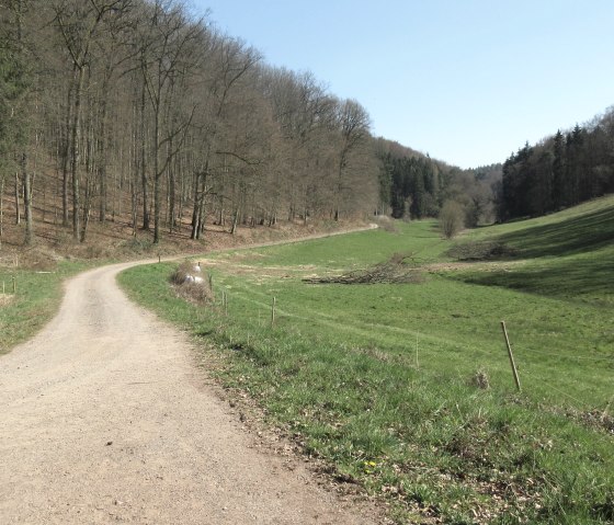 img_8894, © Felsenland Südeifel Tourismus GmbH img_8894, © Felsenland Südeifel Tourismus GmbH