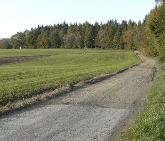 A rural path leads along a green field, lined with a forest in the background. The sky is clear and blue., © Felsenland Südeifel Tourismus GmbH, Christian Calonec-Rauchfuss A rural path leads along a green field, lined with a forest in the background. The sky is clear and blue., © Felsenland Südeifel Tourismus GmbH, Christian Calonec-Rauchfuss