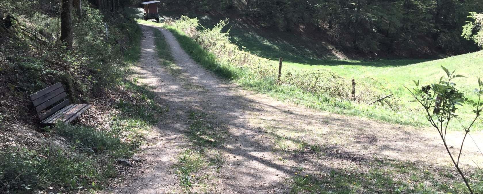 r6-emmelbaum r6-emmelbaum