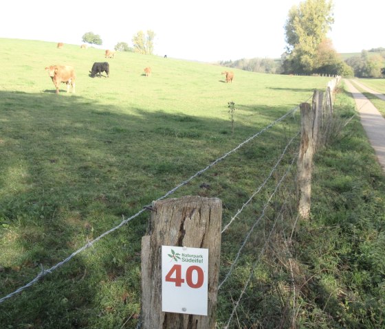 img_8479, © N. Mainz img_8479, © N. Mainz