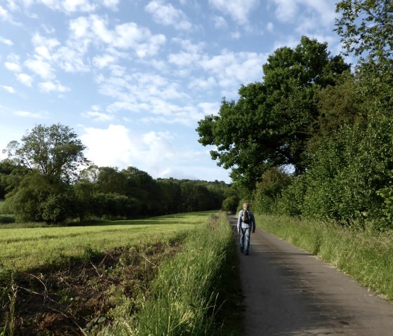 Personne sur un chemin rural, entourée d'arbres verts et de prairies, sous un ciel bleu avec des nuages., © Elke Wagner, Felsenland Südeifel Tourismus GmbH Personne sur un chemin rural, entourée d'arbres verts et de prairies, sous un ciel bleu avec des nuages., © Elke Wagner, Felsenland Südeifel Tourismus GmbH