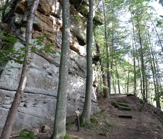 Ein Waldweg führt an einer hohen Felswand entlang. Bäume umgeben den Pfad, der von Sonnenlicht durchflutet wird., © Elke Wagner Ein Waldweg führt an einer hohen Felswand entlang. Bäume umgeben den Pfad, der von Sonnenlicht durchflutet wird., © Elke Wagner