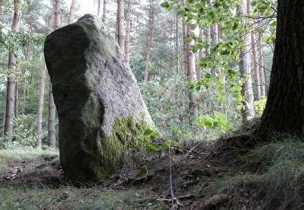 The Langenstein near Holsthum, © Felsenland Südeifel Tourismus GmbH The Langenstein near Holsthum, © Felsenland Südeifel Tourismus GmbH