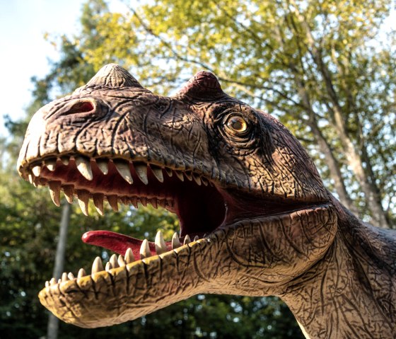 Beeindruckender Dinosaurier im Dinosaurierpark, © Eifel Tourismus GmbH, D. Ketz Beeindruckender Dinosaurier im Dinosaurierpark, © Eifel Tourismus GmbH, D. Ketz