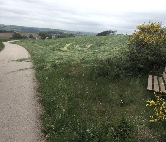 img_8143, © Manuel Norta, Ammeldingen img_8143, © Manuel Norta, Ammeldingen