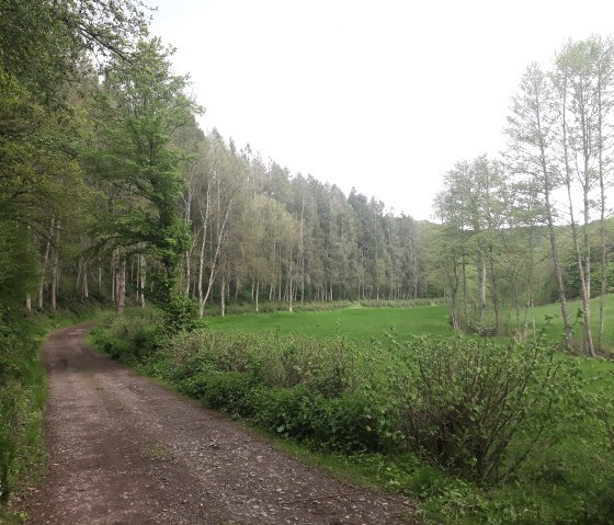Ein idyllisches Tälchen führt wieder zurück nach Gentingen., © Felsenland Südeifel Tourismus, Natalie Mainz Ein idyllisches Tälchen führt wieder zurück nach Gentingen., © Felsenland Südeifel Tourismus, Natalie Mainz