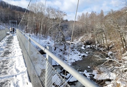 Blick von der Hängebrücke auf die Stromschnellen, © Felsenland Südeifel Tourismus GmbH Blick von der Hängebrücke auf die Stromschnellen, © Felsenland Südeifel Tourismus GmbH