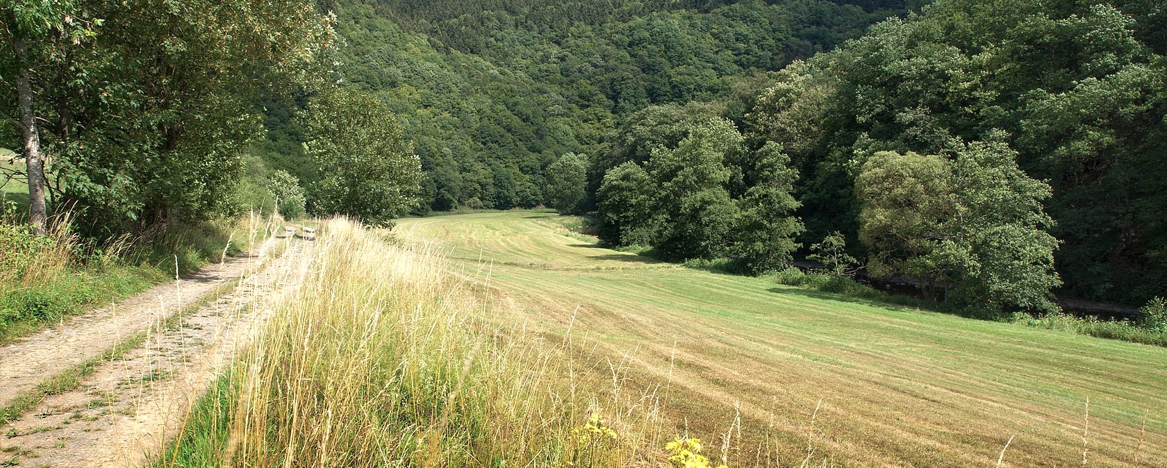 près de Gentingen, © V. Teuschler près de Gentingen, © V. Teuschler