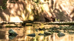 Am Roten Puhl, © Eifel Tourismus GmbH Am Roten Puhl, © Eifel Tourismus GmbH
