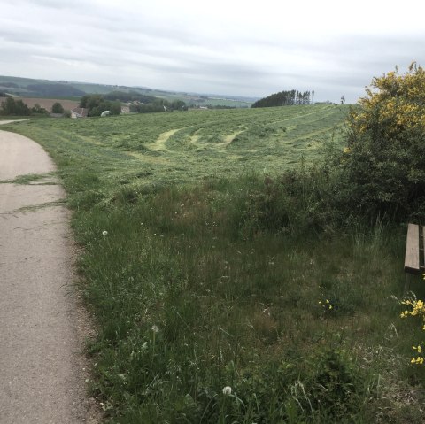 img_8143, © Manuel Norta, Ammeldingen img_8143, © Manuel Norta, Ammeldingen