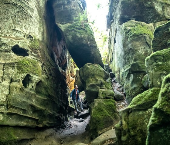 A person stands in a narrow, moss-covered gorge with high rock faces and a natural rock arch., © Eifel Tourismus GmbH, Dominik Ketz A person stands in a narrow, moss-covered gorge with high rock faces and a natural rock arch., © Eifel Tourismus GmbH, Dominik Ketz