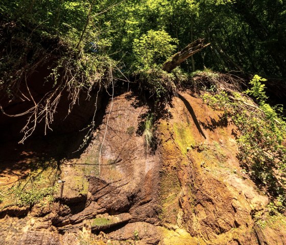 Buntsandsteinwand Roter Puhl, © Eifel Tourismus GmbH, D. Ketz Buntsandsteinwand Roter Puhl, © Eifel Tourismus GmbH, D. Ketz