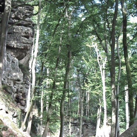 Themenwege Themenwege