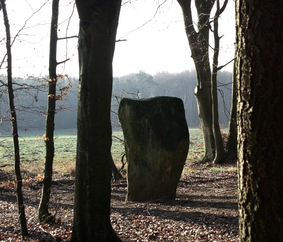 Wintersonne - Druidenstein bei Bollendorf, © Elke Wagner Wintersonne - Druidenstein bei Bollendorf, © Elke Wagner