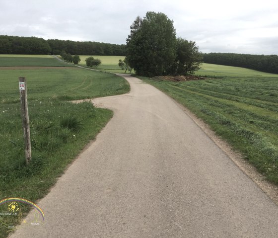 img_8135_logo, © Manuel Norta, Ammeldingen img_8135_logo, © Manuel Norta, Ammeldingen