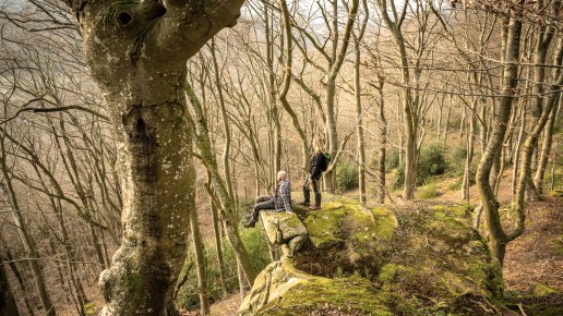 Two people are standing and sitting on a moss-covered rock in a bare forest. The trees are tall and dense, without leaves., © Eifel Tourismus GmbH, D. Ketz Two people are standing and sitting on a moss-covered rock in a bare forest. The trees are tall and dense, without leaves., © Eifel Tourismus GmbH, D. Ketz