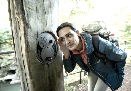 Neuigkeiten Neuigkeiten