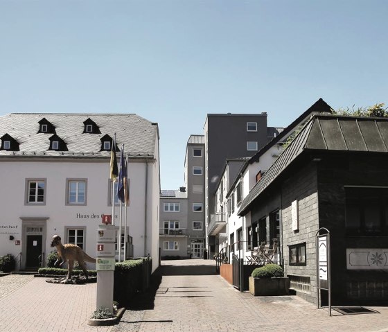 Hofeinfahrt mit TI Hofeinfahrt mit TI