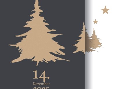 Adventskonzert Biesdorf Plakat, © St.-Josef-Gymnasium Adventskonzert Biesdorf Plakat, © St.-Josef-Gymnasium