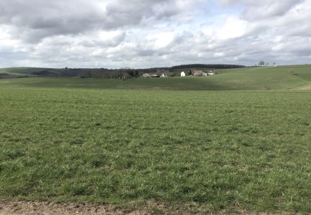 img_0546, © Manuel Norta, Ammeldingen img_0546, © Manuel Norta, Ammeldingen