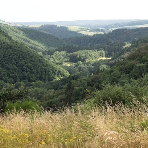 Panoramic view over the green Alsbach valley with rolling hills, dense forests and meadows in the foreground., © V. Teuschler Panoramic view over the green Alsbach valley with rolling hills, dense forests and meadows in the foreground., © V. Teuschler