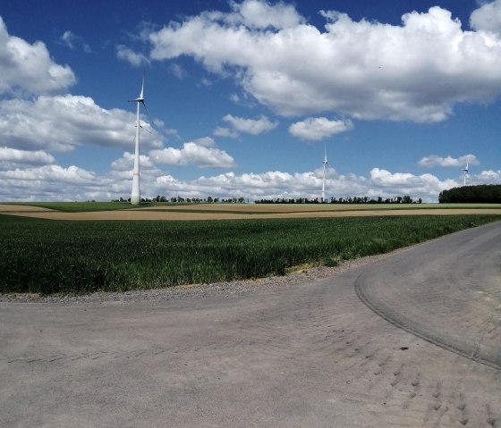 Weiter Blick über die Felder zwischen den Dörfern, © Felsenland Südeifel Tourismus, Antje Ackermann Weiter Blick über die Felder zwischen den Dörfern, © Felsenland Südeifel Tourismus, Antje Ackermann