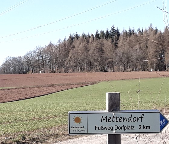 20190227_154139, © Reinhold Hoffmann, Eifelverein Mettendorf-Sinspelt 20190227_154139, © Reinhold Hoffmann, Eifelverein Mettendorf-Sinspelt