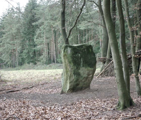 Druidenstein, © Felsenland Südeifel Tourismus GmbH / Elke Wagner Druidenstein, © Felsenland Südeifel Tourismus GmbH / Elke Wagner