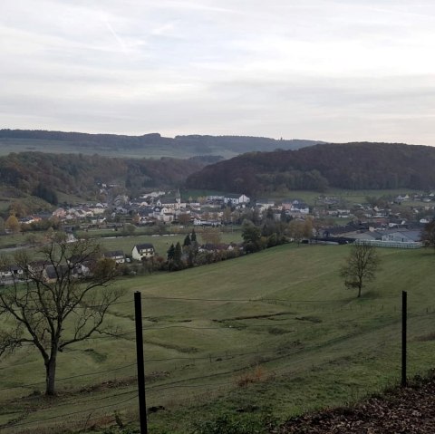 31994-resize-1170x1170x70 31994-resize-1170x1170x70