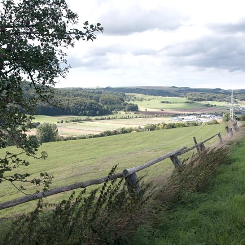 Paysage avec des prairies, des arbres et une clôture en bois au premier plan. En arrière-plan, on voit des champs et des collines sous un ciel nuageux., © V. Teuschler Paysage avec des prairies, des arbres et une clôture en bois au premier plan. En arrière-plan, on voit des champs et des collines sous un ciel nuageux., © V. Teuschler