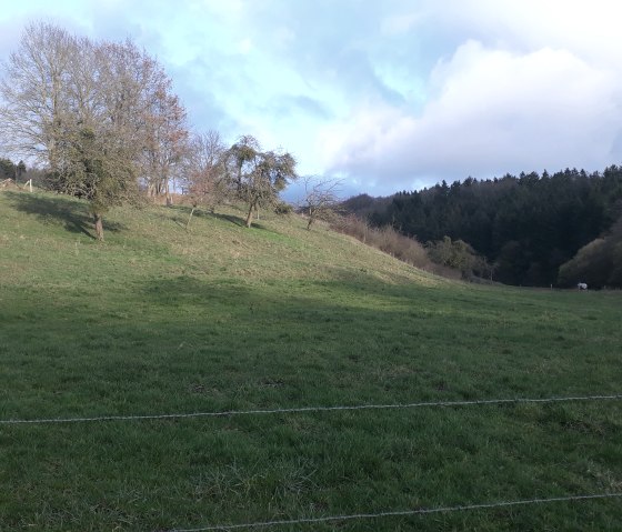 20200119_160546 20200119_160546