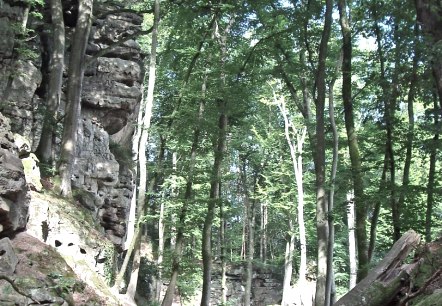 Themenwege Themenwege