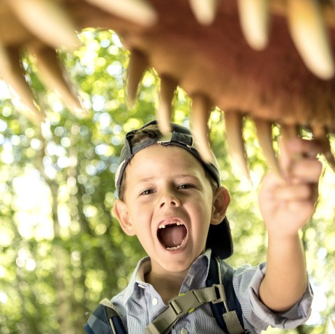 Dinopark-Rubrikbild, © Dominik Ketz Dinopark-Rubrikbild, © Dominik Ketz
