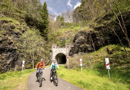 Tunnelanlage auf dem Enz-Radweg bei Neuebrurg, © Eifel Tourismus GmbH, Dominik Ketz Tunnelanlage auf dem Enz-Radweg bei Neuebrurg, © Eifel Tourismus GmbH, Dominik Ketz