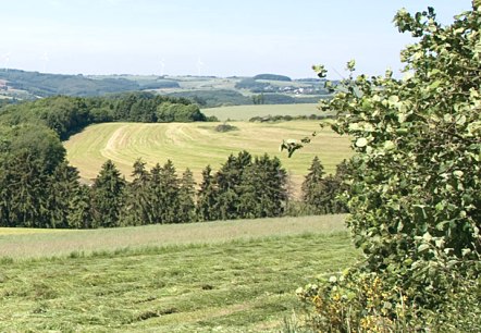 Eifel heights, © V. Teuschler Eifel heights, © V. Teuschler