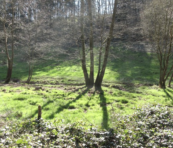 img_8901_1, © Felsenland Südeifel Tourismus GmbH, Natalie Mainz img_8901_1, © Felsenland Südeifel Tourismus GmbH, Natalie Mainz