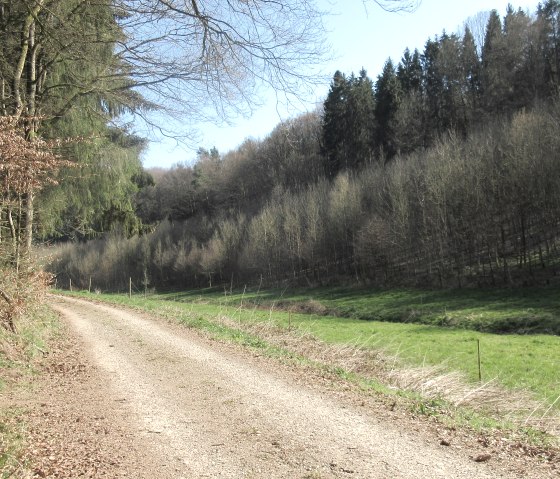 img_8896, © Felsenland Südeifel Tourismus GmbH, Natalie Mainz img_8896, © Felsenland Südeifel Tourismus GmbH, Natalie Mainz