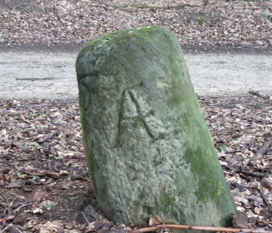 A moss-covered boundary stone with engraved letters stands in the forest, surrounded by foliage and trees., © Elke Wagner, Felsenland Südeifel Tourismus GmbH A moss-covered boundary stone with engraved letters stands in the forest, surrounded by foliage and trees., © Elke Wagner, Felsenland Südeifel Tourismus GmbH