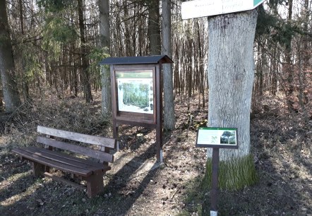20190227_153143, © Reinhold Hoffmann, Eifelverein Mettendorf-Sinspelt 20190227_153143, © Reinhold Hoffmann, Eifelverein Mettendorf-Sinspelt