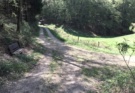 r6-emmelbaum r6-emmelbaum